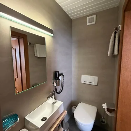 Haus Flexen Gasthof 3*